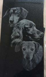 Three Dogs Laser Etching